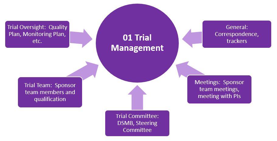 Image with shapes representing components of eTMF zone 01 Trial Management