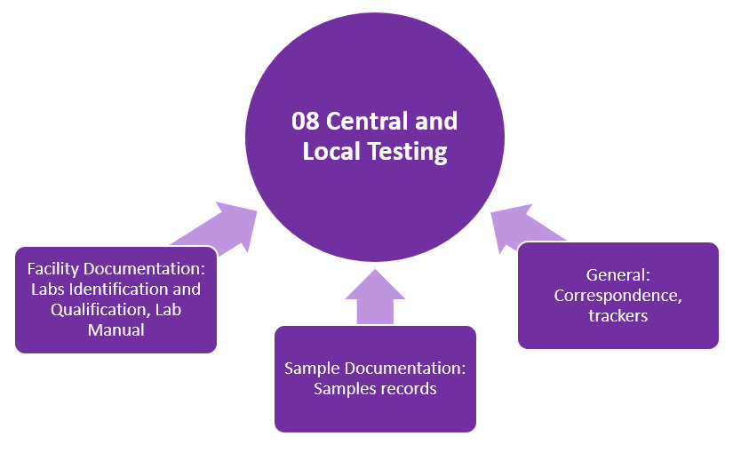 Image with shapes representing components of eTMF zone 08 Central and Local Testing