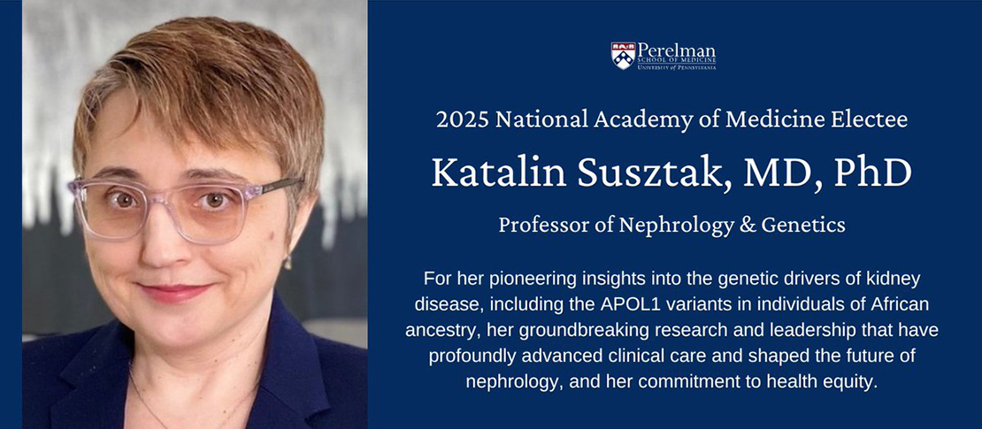 Katalin Susztak elected to the National Academy of Medicine!