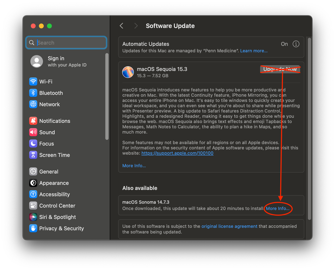 A screenshot illustrating how to select which MacOS updates you want to install by clicking 'More Info..."