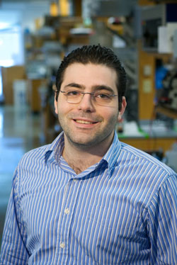 Naji Alamuddin, M.D.